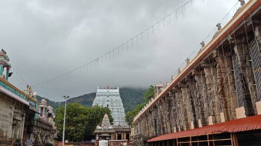 Arunachalesvara Tapınağı (ayrıca Annamalaiyar Tapınağı olarak da bilinir), Hindistan 'ın Tamil Nadu kentindeki Tiruvannamalai şehrinde Arunachala Tepesi' nin eteklerinde bulunan bir Hindu tapınağıdır.