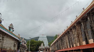 Arunachalesvara Tapınağı (ayrıca Annamalaiyar Tapınağı olarak da bilinir), Hindistan 'ın Tamil Nadu kentindeki Tiruvannamalai şehrinde Arunachala Tepesi' nin eteklerinde bulunan bir Hindu tapınağıdır.