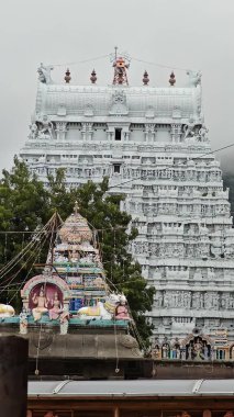 Antik Shree Thillai Natarajar Tapınağı, Chidambaram, Hindistan 