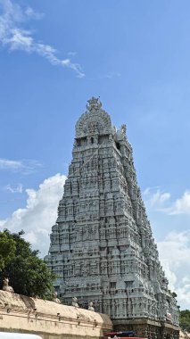 Antik Shree Thillai Natarajar Tapınağı, Chidambaram, Hindistan 