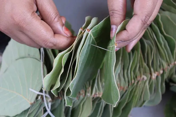 stock image Butea Monosperma Leaves garland Isolated on wood background