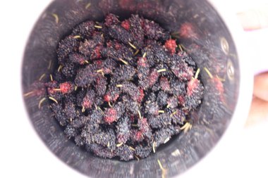 Oraganic Sağlıklı Dut, Beyaz Arkaplanda İzole Edildi