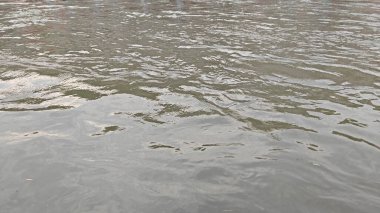 Nehir yüzeyi, su dalgalanması arkaplanı