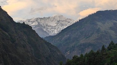 Sonsuza dek yeşil orman manzarası ve güzel karlı dağlar.