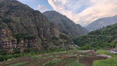 Yeşil dağ vadisinin güzel manzarası ve kayaların üzerinde yetişen seyrek bitki örtüsü.