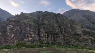 Yeşil dağ vadisinin güzel manzarası ve kayaların üzerinde yetişen seyrek bitki örtüsü.
