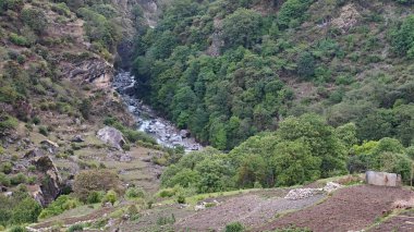 Himalaya dağlarının sisli güzel manzaralı akıntısı