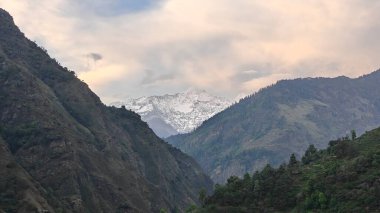 Sonsuza dek yeşil orman manzarası ve güzel karlı dağlar.