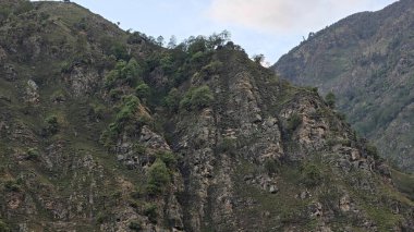 Himalaya dağlarının günbatımında yeşil bitki örtüsüyle kaplı manzarası