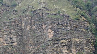 Himalaya dağlarının seyrek bitki örtüsüyle güzel manzarası 