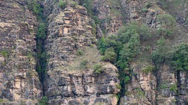 Himalaya dağlarının seyrek bitki örtüsüyle güzel manzarası 