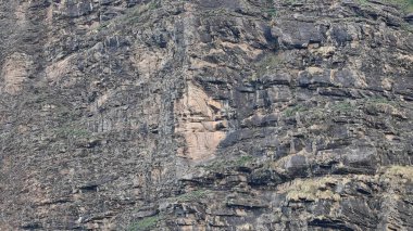 Himalaya dağlarının seyrek bitki örtüsüyle güzel manzarası 