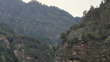 Himalaya dağlarının günbatımında yeşil bitki örtüsüyle kaplı manzarası