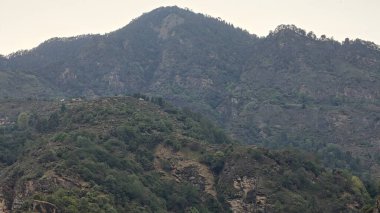 Himalaya dağlarının günbatımında yeşil bitki örtüsüyle kaplı manzarası