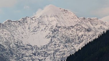 Sonsuza dek yeşil orman manzarası ve güzel karlı dağlar.