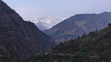 Sonsuza dek yeşil orman manzarası ve güzel karlı dağlar.