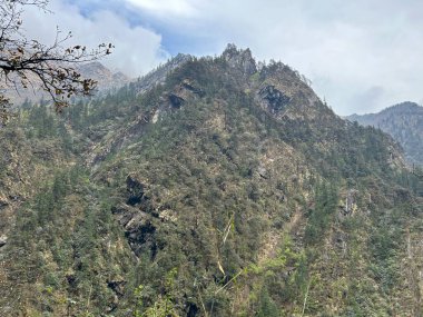 Yeşil bitki örtüsüyle Himalaya dağlarının güzel manzarası 