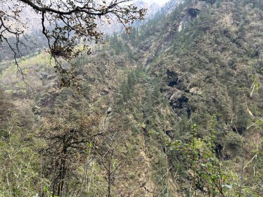 Yeşil bitki örtüsüyle Himalaya dağlarının güzel manzarası 