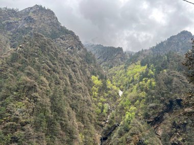 Yeşil bitki örtüsüyle Himalaya dağlarının güzel manzarası 