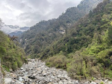Yeşil bitki örtüsü ve kayalık yolu olan Himalaya dağlarının güzel manzarası