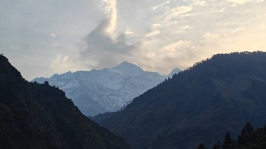 Sonsuza dek yeşil orman manzarası ve güzel karlı dağlar.