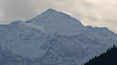 Sonsuza dek yeşil orman manzarası ve güzel karlı dağlar.