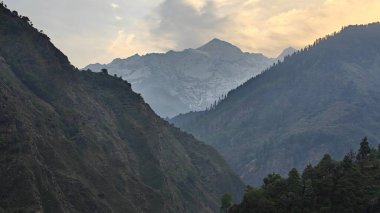 Sonsuza dek yeşil orman manzarası ve güzel karlı dağlar.