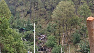 İnsanlar, Mandakini nehrinin kıyısındaki Lord Shiva 'ya adanmış 3584 metre yükseklikteki Kedarnath Tapınağı' nın ünlü hac bölgesine doğru yürüyorlar.