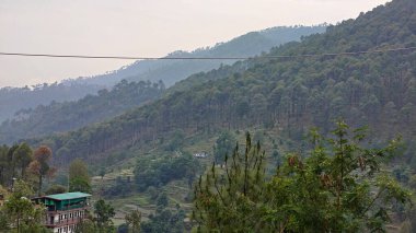 Yeşil bitki örtüsüyle Himalaya dağlarının güzel manzarası 