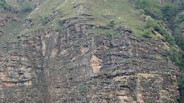 Himalaya dağlarının seyrek bitki örtüsüyle güzel manzarası 