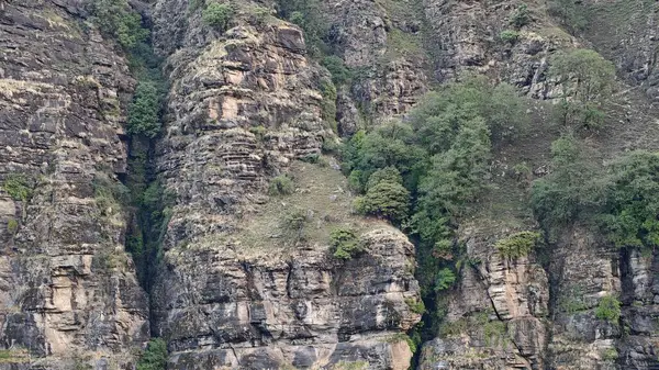 Himalaya dağlarının seyrek bitki örtüsüyle güzel manzarası 