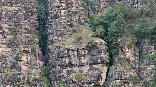Himalaya dağlarının seyrek bitki örtüsüyle güzel manzarası 