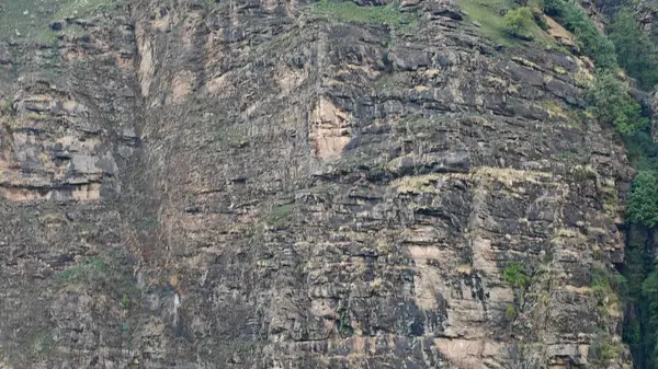 Himalaya dağlarının seyrek bitki örtüsüyle güzel manzarası 