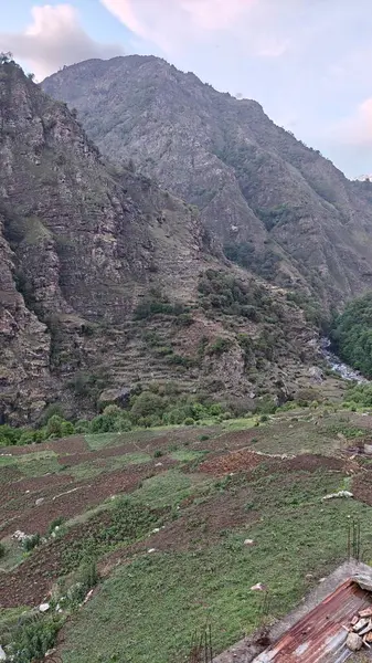 Yeşil dağ vadisinin güzel manzarası ve kayaların üzerinde yetişen seyrek bitki örtüsü.