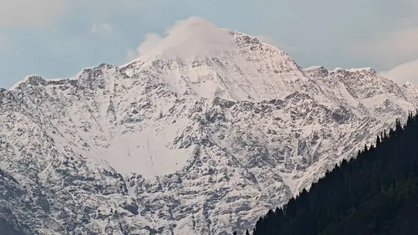Sonsuza dek yeşil orman manzarası ve güzel karlı dağlar.