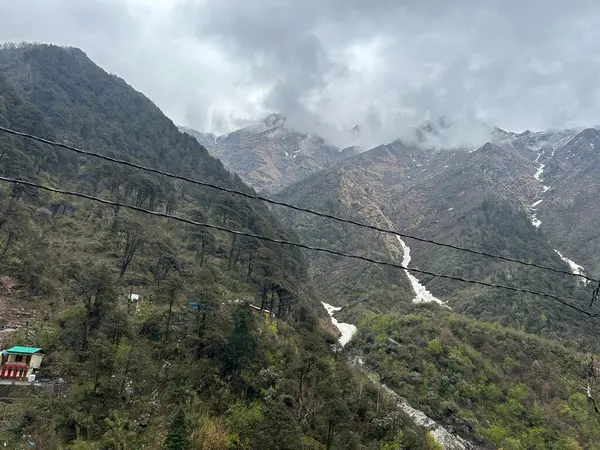 Yeşil bitki örtüsüyle Himalaya dağlarının güzel manzarası 
