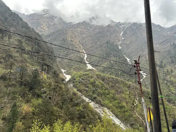 Yeşil bitki örtüsüyle Himalaya dağlarının güzel manzarası 