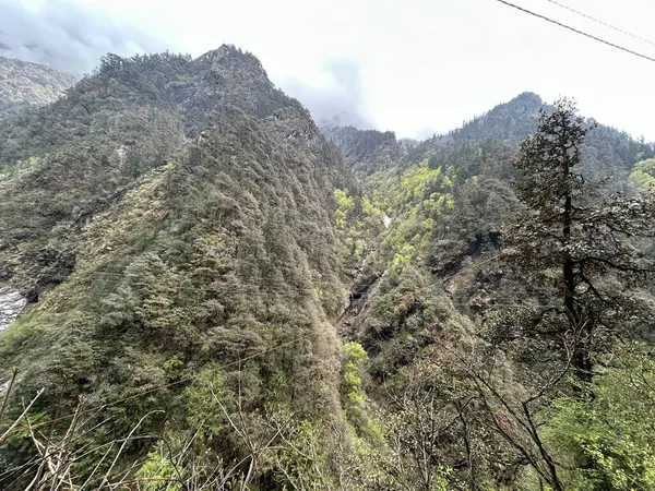 Yeşil bitki örtüsüyle Himalaya dağlarının güzel manzarası 