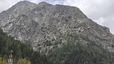 Dağlarda büyüyen yeşil çam ağaçları ve bulutlu gökyüzü