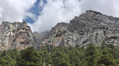 Himalaya dağlarının ve yemyeşil ormanların güzel manzarası 