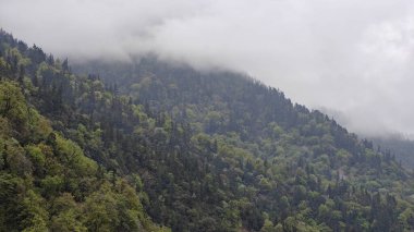 Himalaya dağlarının sisli güzel manzarası