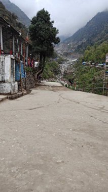Hindistan 'ın Uttarakhand eyaletinin Chamoli ilçesine bağlı Badrinath kasabası ve Nagar Panchayat. Bir Hindu kutsal yeri ve Hindistan 'ın Char Dham haccındaki dört bölgeden biridir.. 
