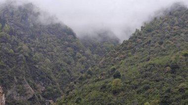 Himalaya dağlarının sisli güzel manzarası