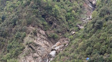 Himalaya dağlarında yeşil ağaçlar ve kayalar 