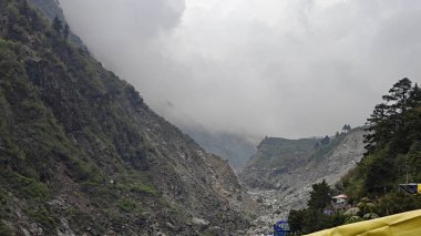 Himalaya dağlarında büyüyen yeşil ağaçlar sisle kaplı.