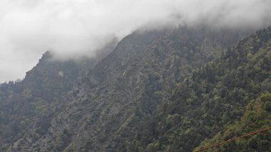 Himalaya dağlarındaki sisle kaplı yeşil ormanın manzarası