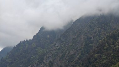 Himalaya dağlarındaki sisle kaplı yeşil ormanın manzarası