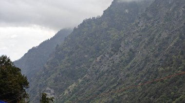 Himalaya dağlarındaki sisle kaplı yeşil ormanın manzarası