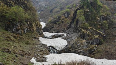 Himalaya dağlarının güzel manzarası Yeşil bitkiler ve karla 