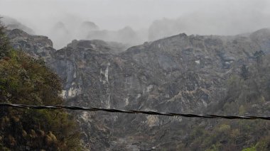 Himalaya dağlarının yeşil bitki ve sisli güzel manzarası